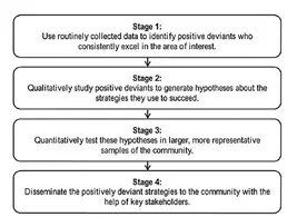 Steps in the Positive Deviance Approach [from: Bradley EH, Curry LA, Ramanadhan S, et al. Research in action: Using positive deviance to improve quality of health care]